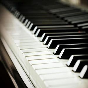 麻豆91成人免费短视频在线下载观看
