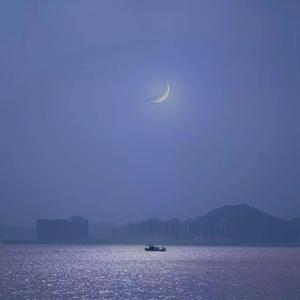 麻豆91成人免费短视频在线下载观看
