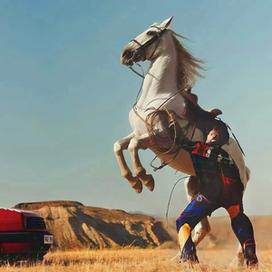 麻豆91成人免费短视频在线下载观看
