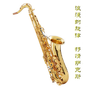 麻豆91成人免费短视频在线下载观看
