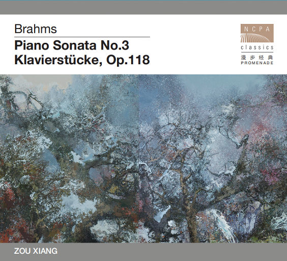 麻豆91成人免费短视频在线下载观看
